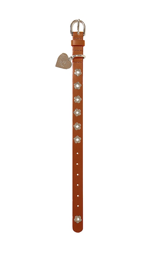 Little Beast Flower Power Collar in Hazel