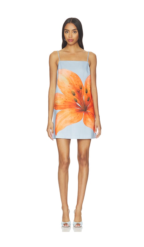 Avah Mini Dress