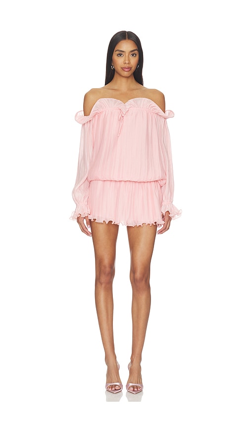 x REVOLVE Potpourri Mini Dress
