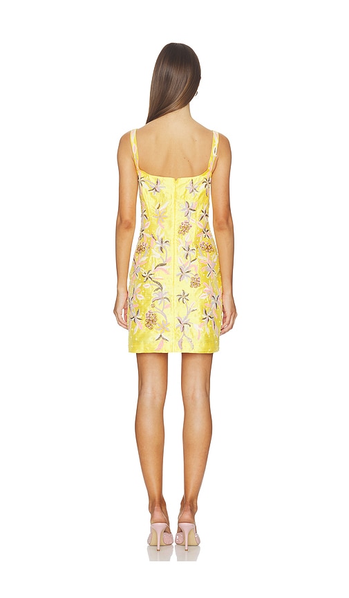  La Fuori Kleid Dress In Yellow. Größe M. Also In L, Xl. 
