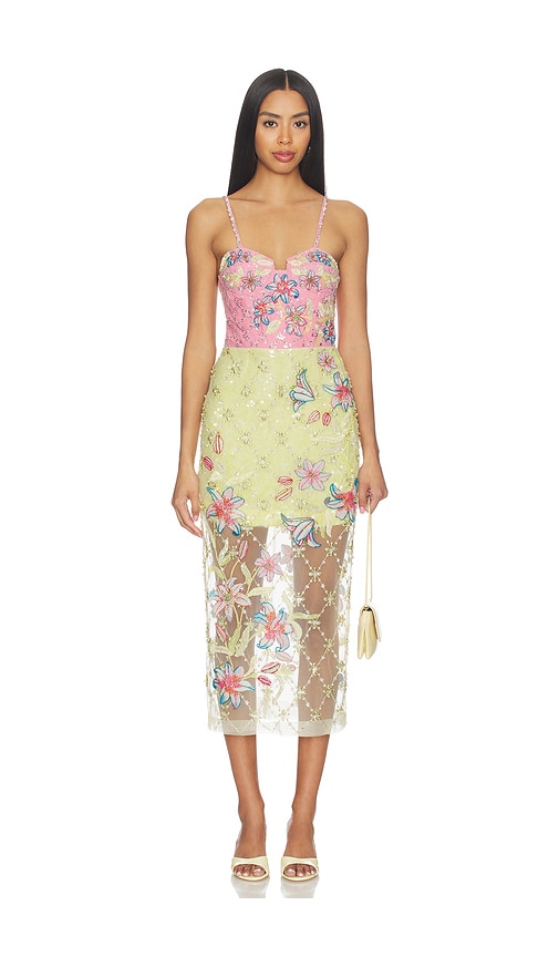 LA FUORI Blush Lily Embroidered Dress