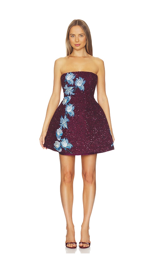 LA FUORI Floral Wine Embroidered Dress