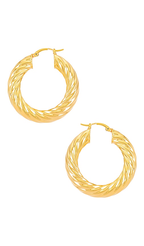 Gina Hoops