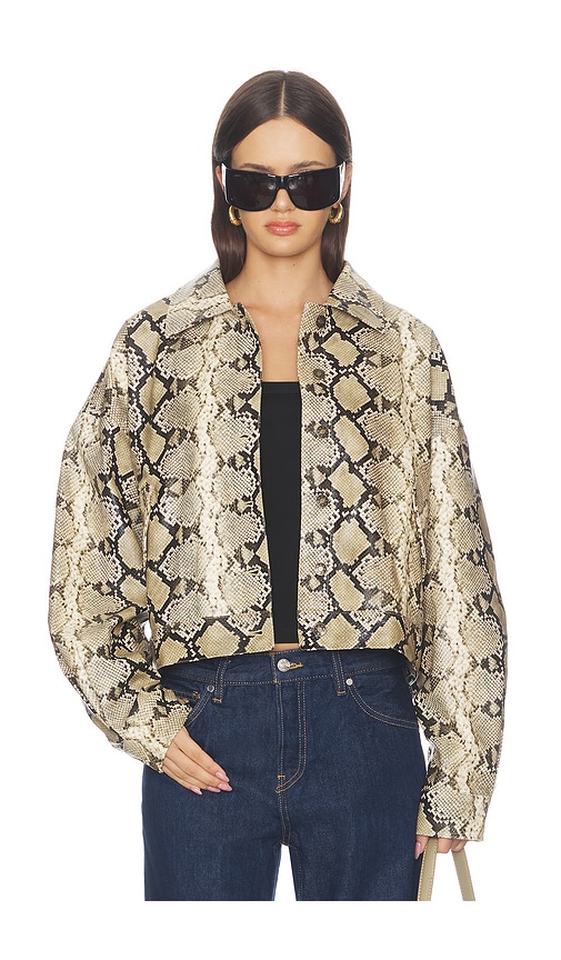 Angel Jacket