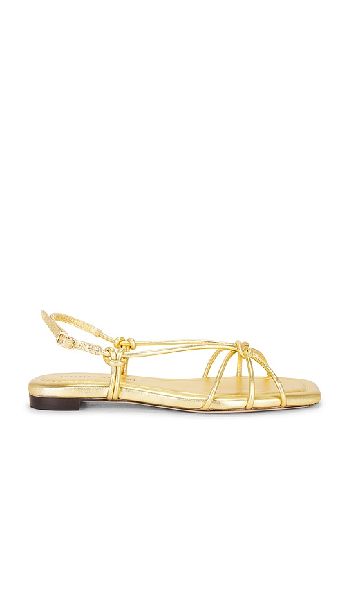 Loeffler Randall Karly Strappy Flat Sandal - Women's Shoes