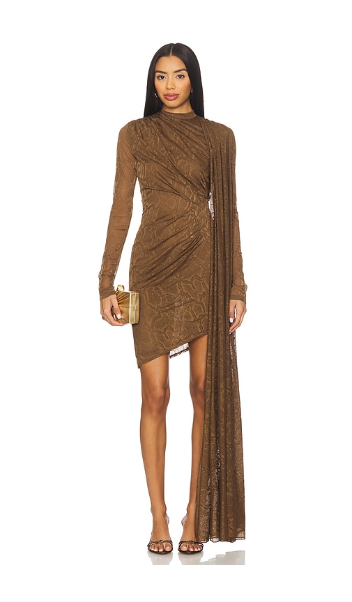 Lapointe Snake Lace High Neck Cape Dress