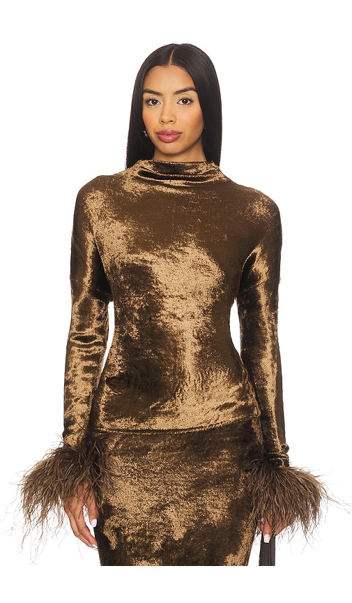 Lapointe Velvet Dolman Top In Brown