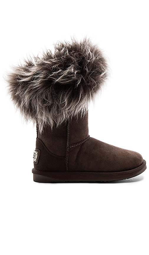 Australia Luxe Collective Foxy Short Shearling Boot in Espresso