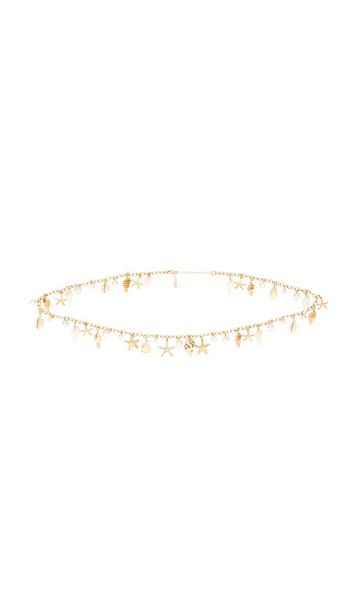 Darci Belt in Metallic Gold.
