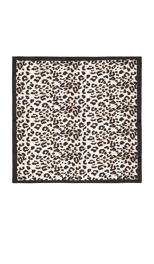 view 4 of 4 Isabela Scarf in Leopard