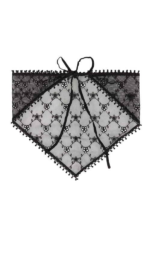 view 1 of 2 Josefina Triangle Scarf in Black