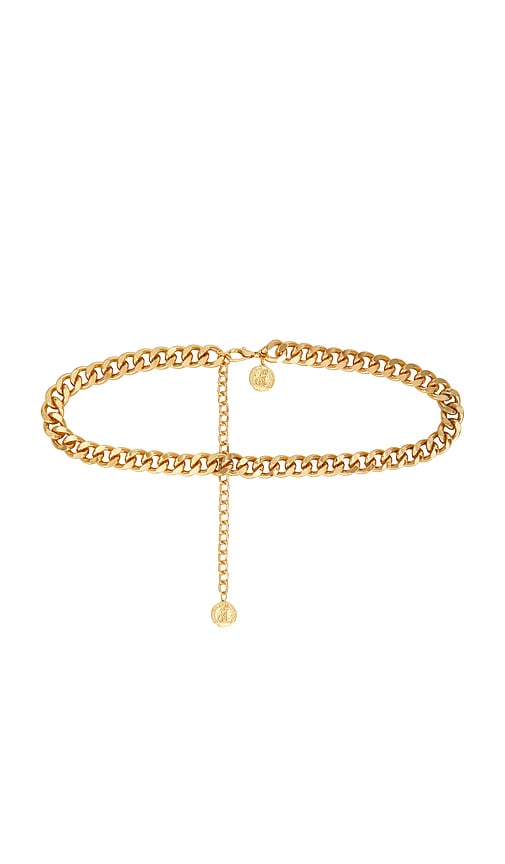 view 2 of 3 Belicia Belt in Gold