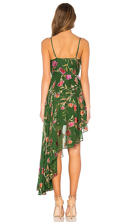 view 3 of 3 Caterina Dress in Jade Floral