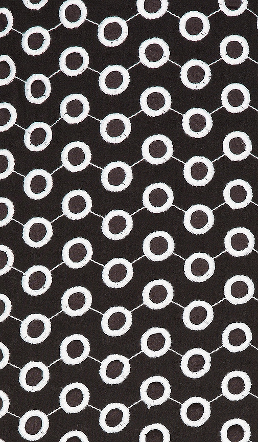 view 4 of 4 Evan Mini Dress in Black & White