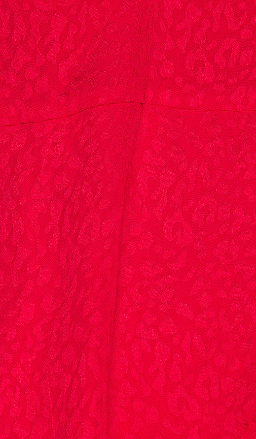view 4 of 4 Devan Mini Dress in Leopard Red