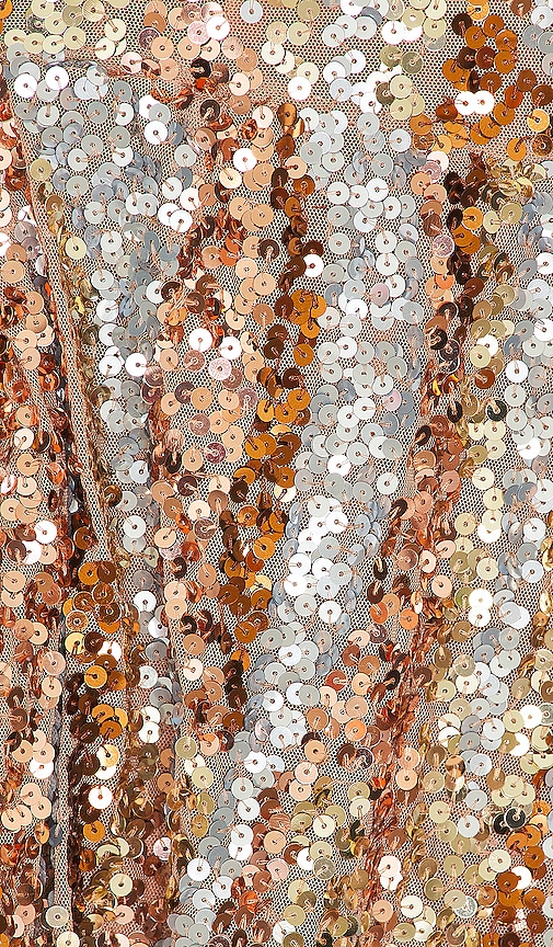 view 4 of 4 Amaryllis Mini Dress in Stardust Multi