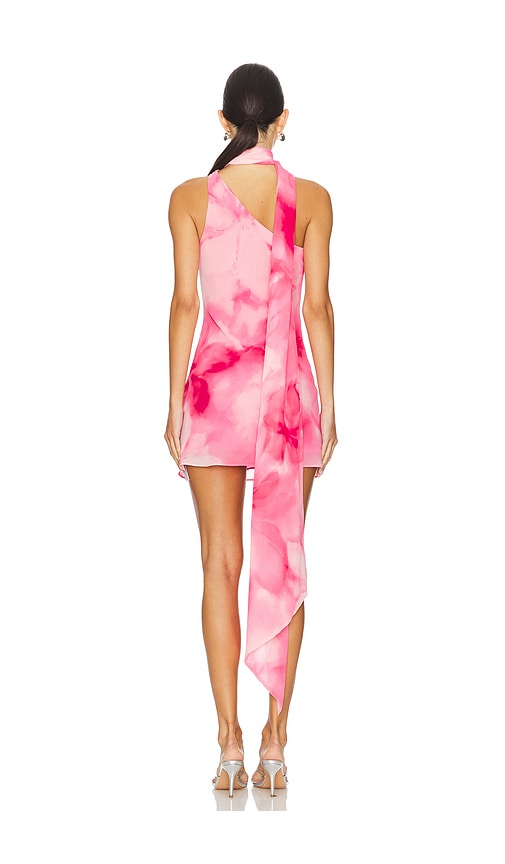 view 3 of 3 Kima Mini Dress in Blur Floral Pink