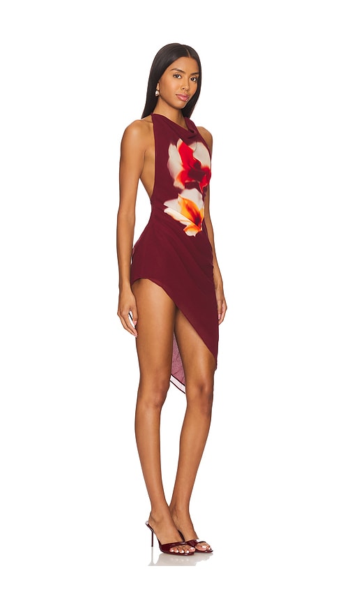 view 2 of 3 x Maggie MacDonald Emery Mini Dress in Burgundy