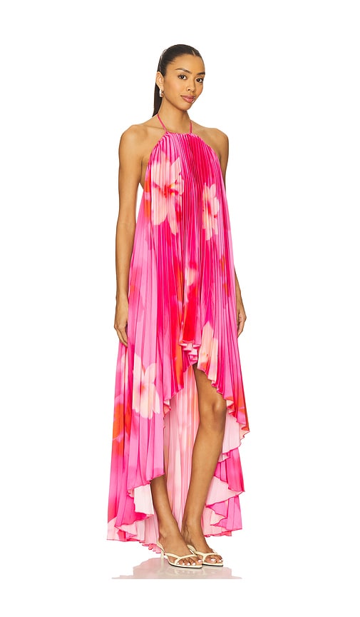 Shop Lovers & Friends Gia Maxi Dress