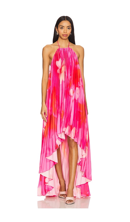 view 4 of 4 Gia Maxi Dress in Pink Floral Multi
