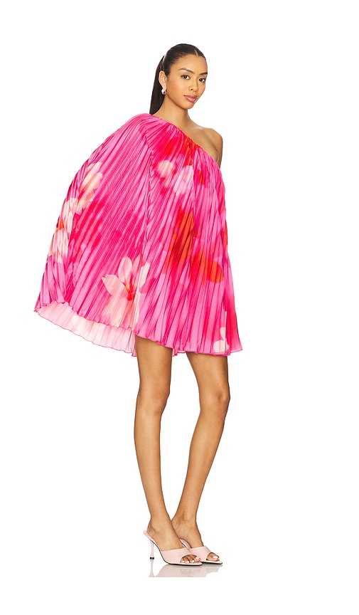 view 2 of 4 Gia Mini Dress in Pink Floral Multi