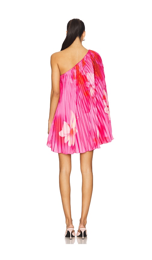 view 4 of 4 Gia Mini Dress in Pink Floral Multi