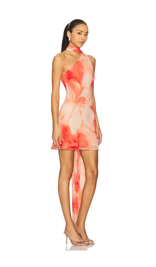 view 2 of 3 Kima Mini Dress in Orange Floral