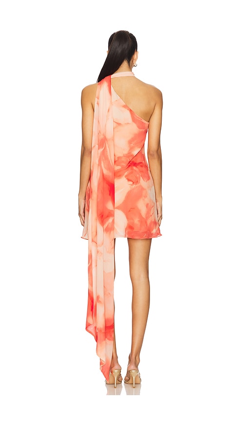 view 3 of 3 Kima Mini Dress in Orange Floral