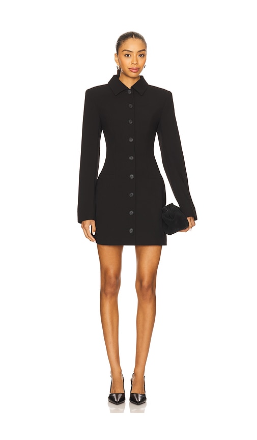 Lovers and Friends Anja Mini Dress