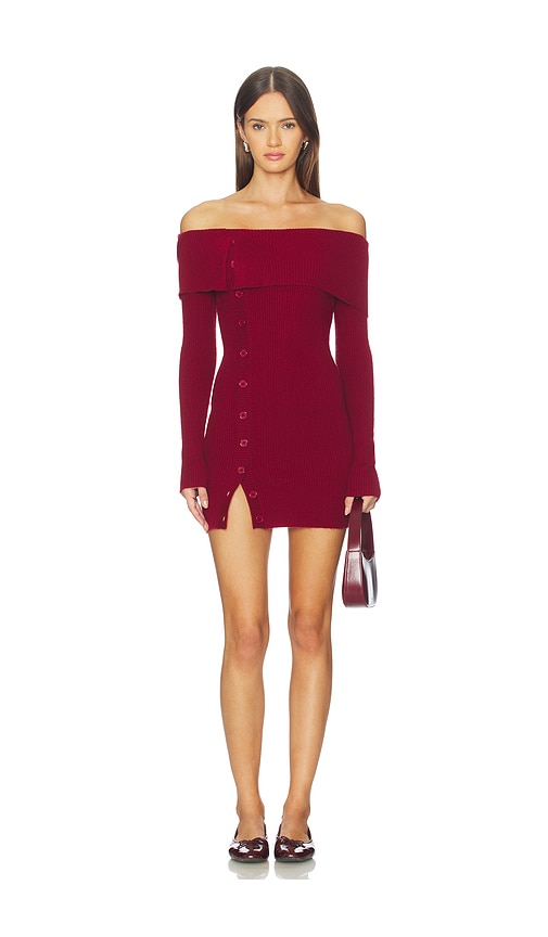 Lovers & Friends Lexi Mini Dress In Burgundy