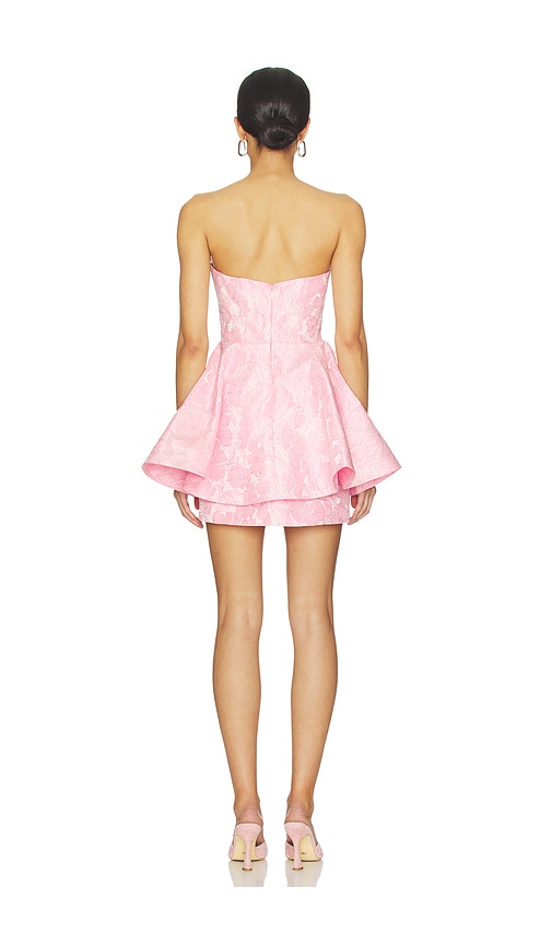 view 3 of 4 Zerah Mini Dress in Pink Floral