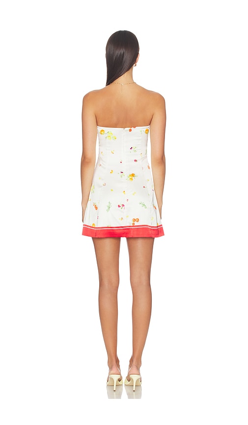 view 3 of 3 Irma Mini Dress in Garden Print
