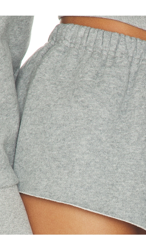 view 6 of 6 Roby Short in Gray