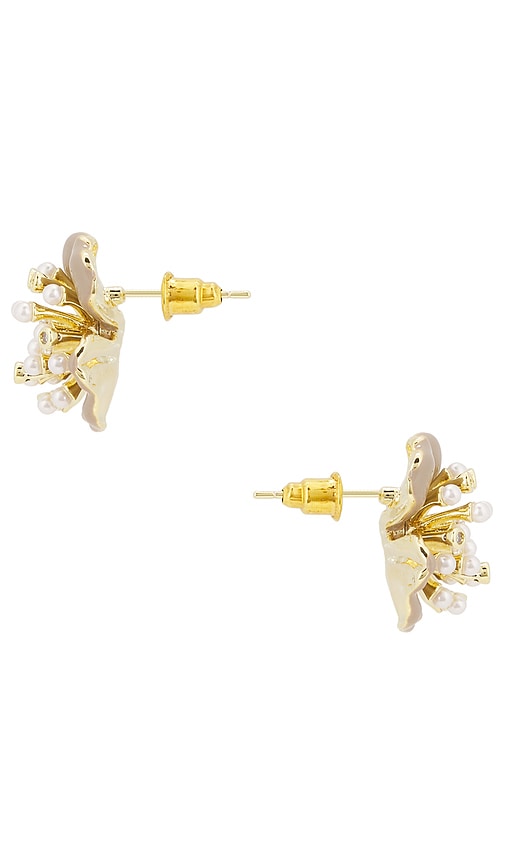 view 2 of 2 Allegra Earrings in Nude Multi