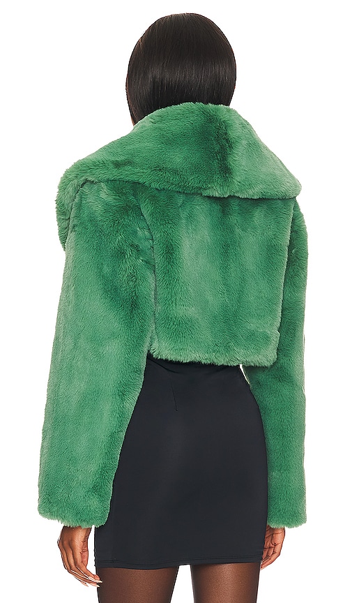 view 4 of 5 Zoe Cropped Jacket in Spruce Green