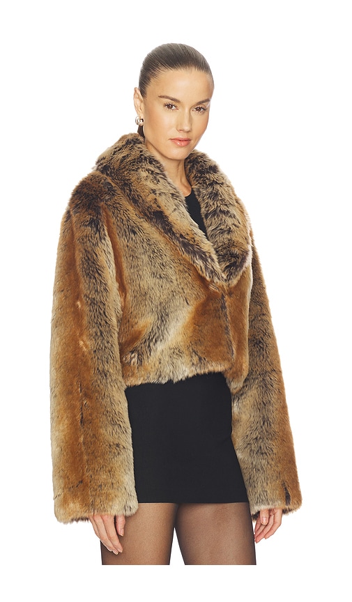 view 3 of 5 Cropped Ernie Coat in Brown