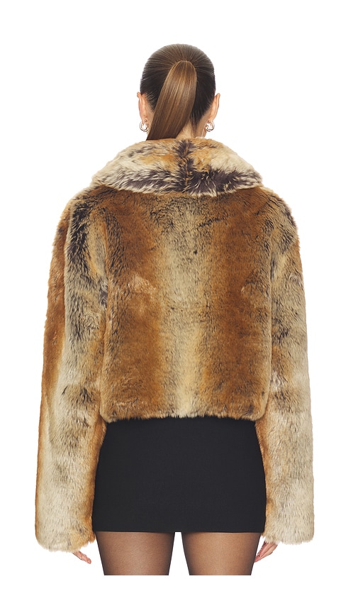 view 4 of 5 Cropped Ernie Coat in Brown