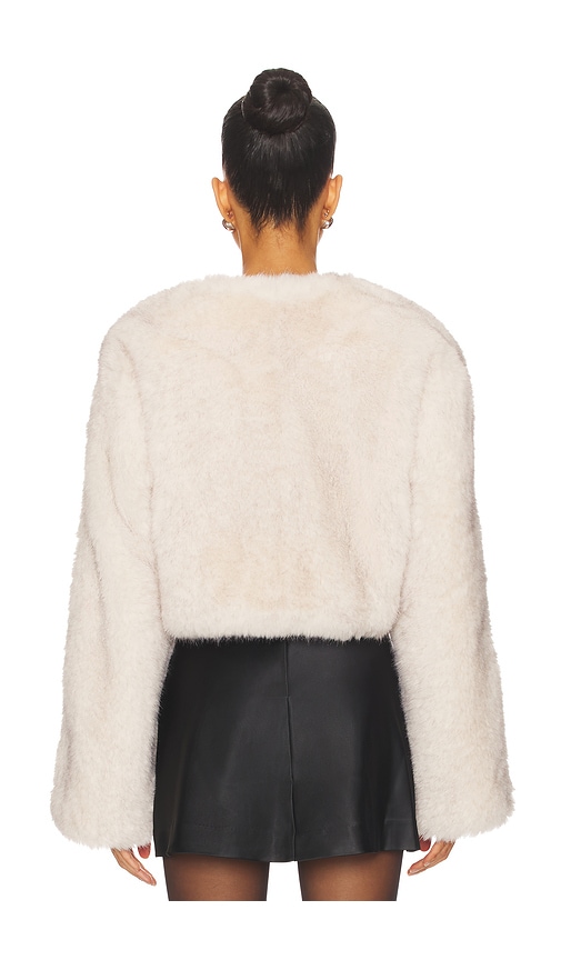 view 3 of 4 Cropped Gabriel Coat in Light Tan