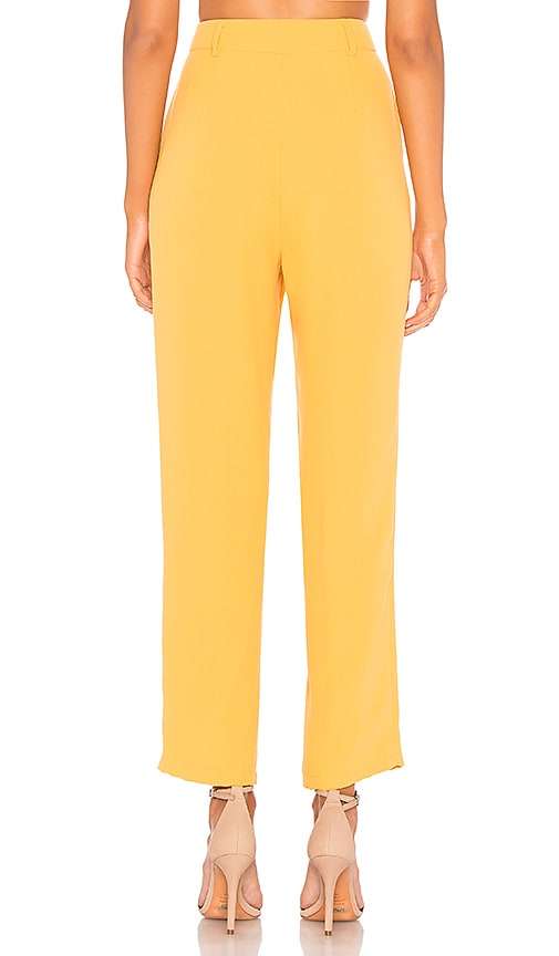 view 3 of 4 Tempo Skinny Pant in Honey