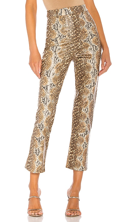Indra Pant