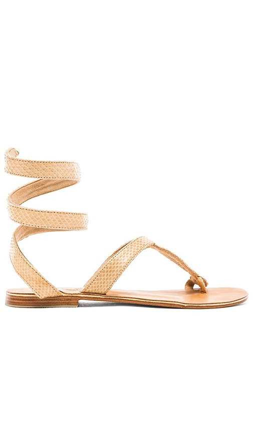 LSPACE by Cocobelle Snake Wrap Sandal in Taupe | REVOLVE