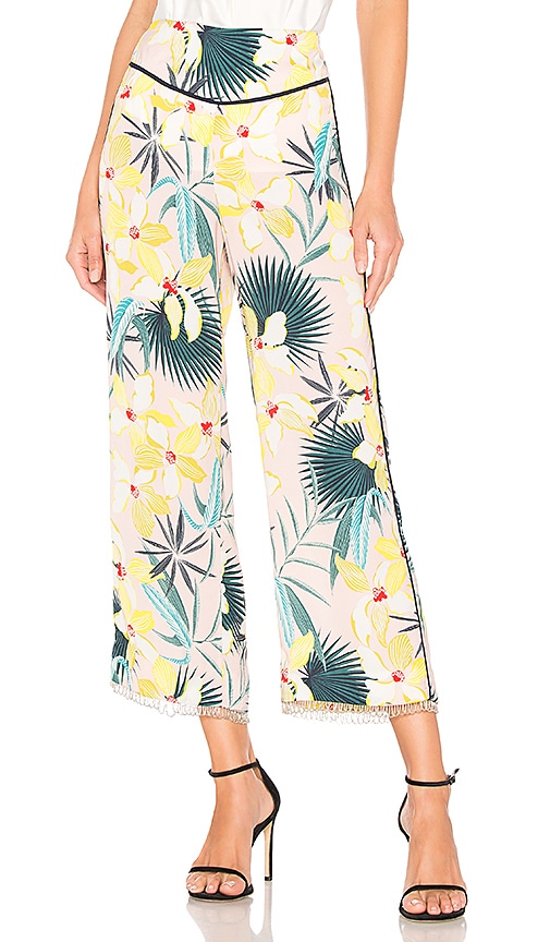 Destination Unknown Pant