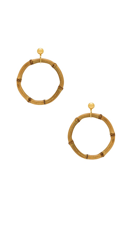 Laruicci Bamboo Earring In Gold Revolve Bamboo Earring