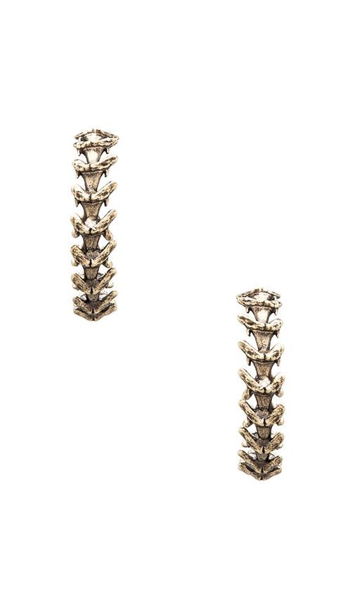 Shark Tooth Hoop Earrings