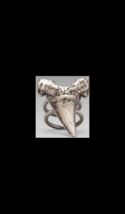 Large Shark Tooth Ring