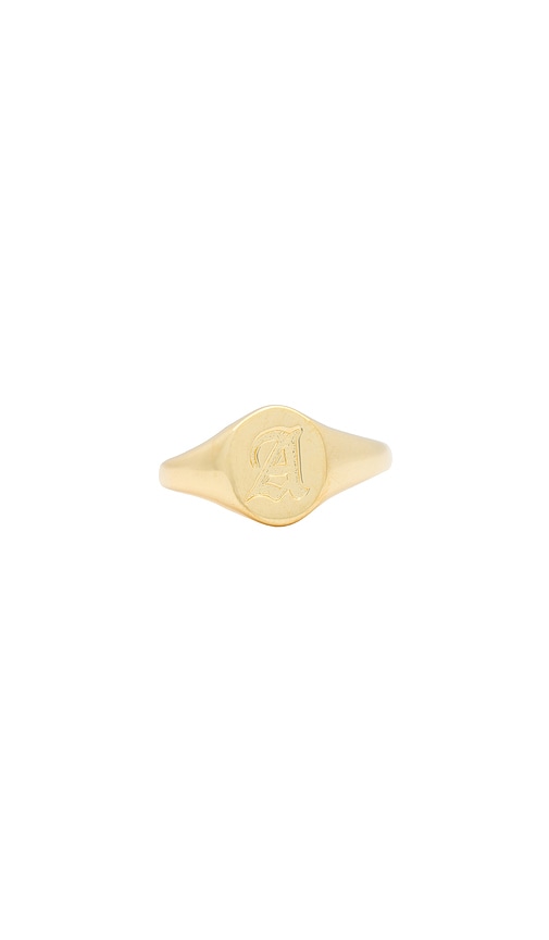 Luv AJ The Oval Signet Ring in Gold