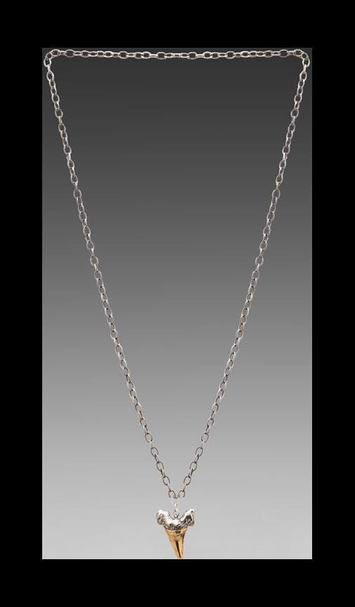Two-Toned Charm Necklace