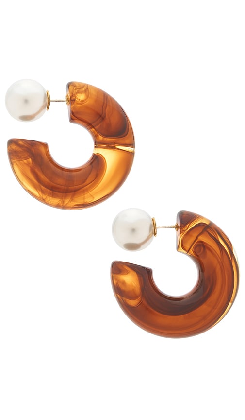 Luv Aj The Tortoise Noemi Hoop Earrings In Brown