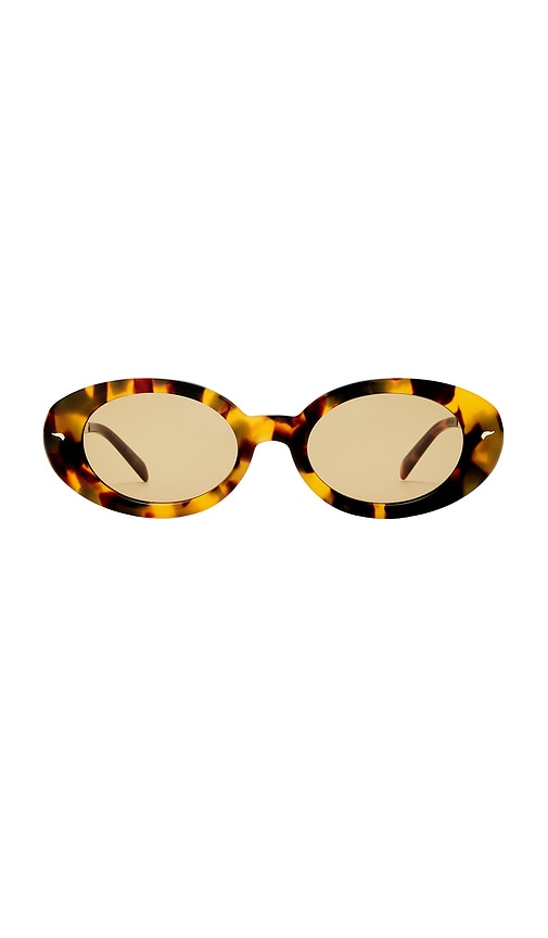The Avalon Sunglasses in Brown.