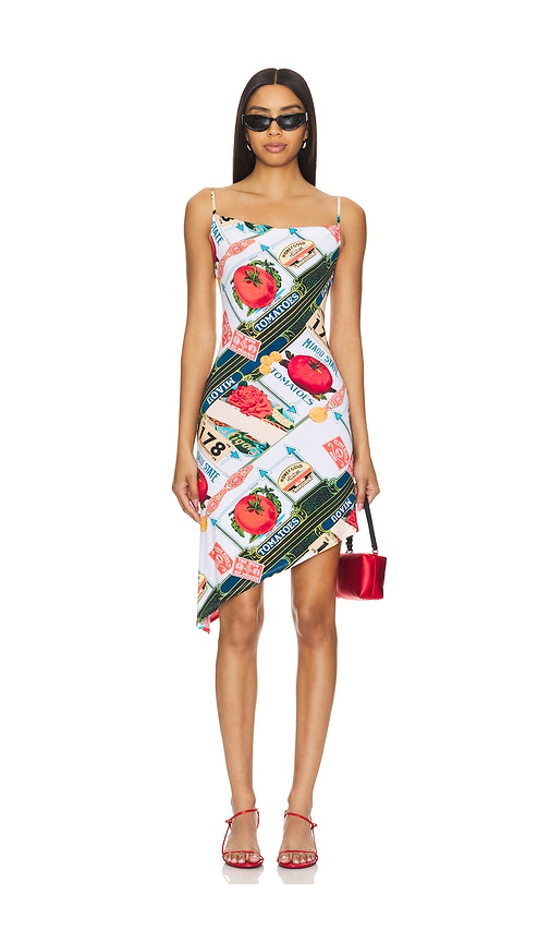 Shop Miaou Helga Dress In Figaro Print